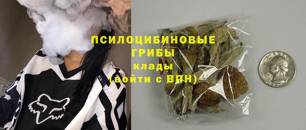 молекула духа Верхний Тагил