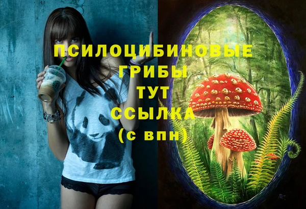 не бодяженный Верея