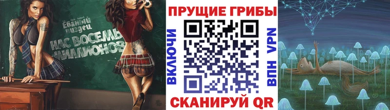 Галлюциногенные грибы ЛСД Горнозаводск
